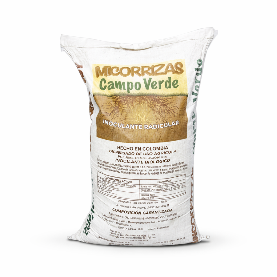 Micorrizas Hongos del Suelo